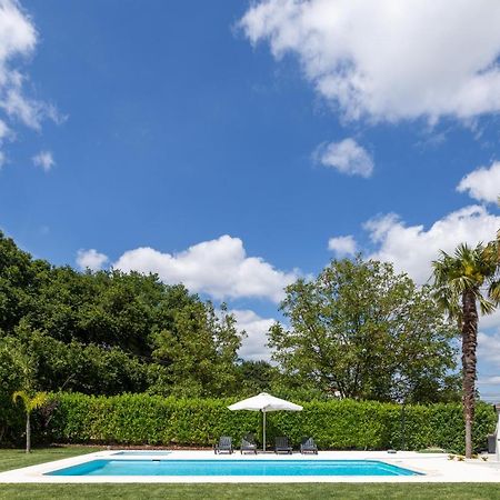 Casa 141- Familiar Conforto Paz E Bem-Estar Гімарайнш Екстер'єр фото